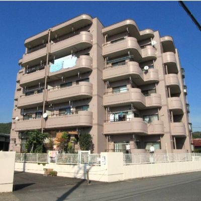 �m�����p�}���V�����s���Y���n����p�������]�ǍD ���t�H�[����