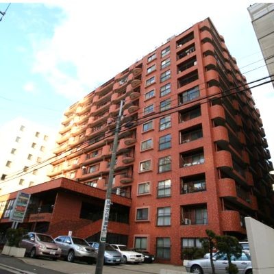 �m�����p�}���V�����s���Y���n���w�k�����̍D���n�B