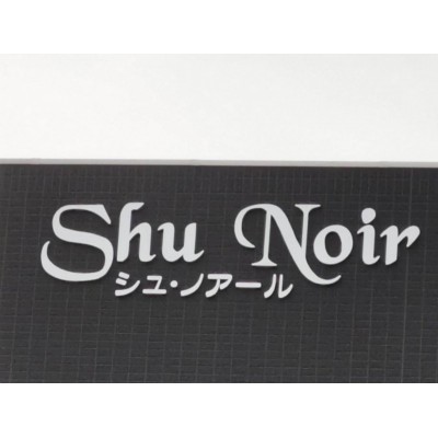 Shu NoiriVEmA[j