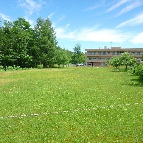 売買物件詳細 朝里川温泉１丁目土地