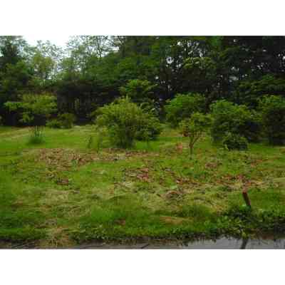 land for sale in 茅部郡森町, Hokkaido | ¥4,230,000 | Akiyama house finder