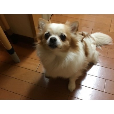 賃貸物件一覧 Jr学園都市線 篠路駅 アパート マンション 一戸建て 札幌賃貸 連合隊