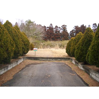 千葉県長生郡長生村の土地 | 170万円 | 126m² | Akiyama house finder