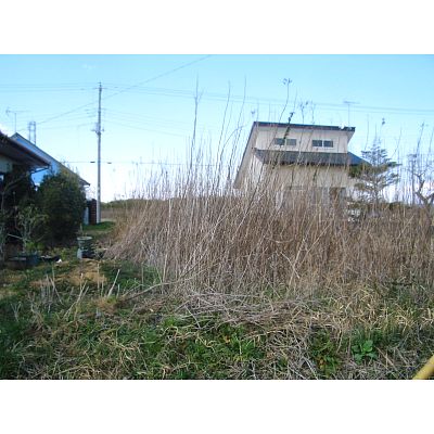 千葉県匝瑳市の土地 | 150万円 | 163.44m² | Akiyama house finder