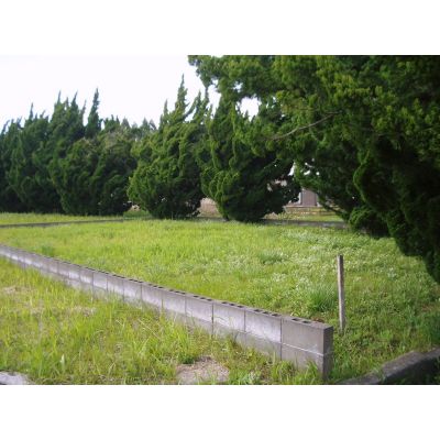 千葉県茂原市の土地 | 150万円 | 217m² | Akiyama house finder