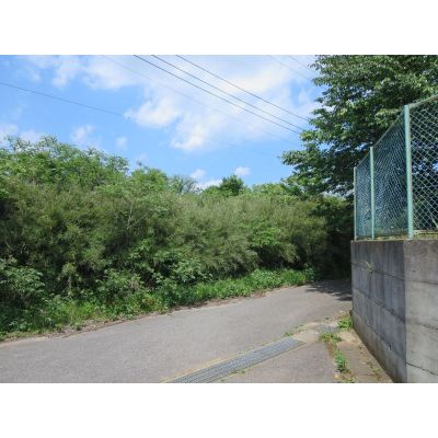 land for sale in Sammu, Chiba | ¥1,000,000 | Akiyama house finder