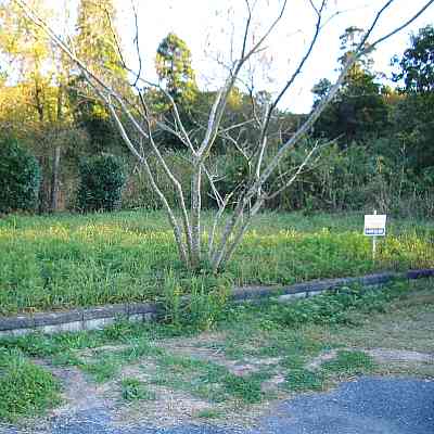 千葉県茂原市の土地 | 170万円 | 144m² | Akiyama house finder
