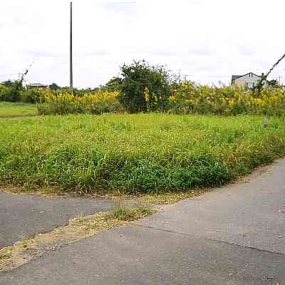 land for sale in 山武郡九十九里町, Chiba | ¥1,500,000 | Akiyama house finder