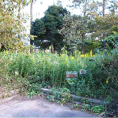 land for sale in 長生郡白子町, Chiba | ¥1,200,000 | Akiyama house finder