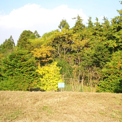 land for sale in 山武郡横芝光町, Chiba | ¥800,000 | Akiyama house finder