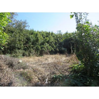 茨城県鉾田市の土地 | 170万円 | 275m² | Akiyama house finder