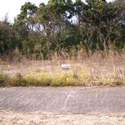 land for sale in 東金市, Chiba | ¥1,500,000 | Akiyama house finder