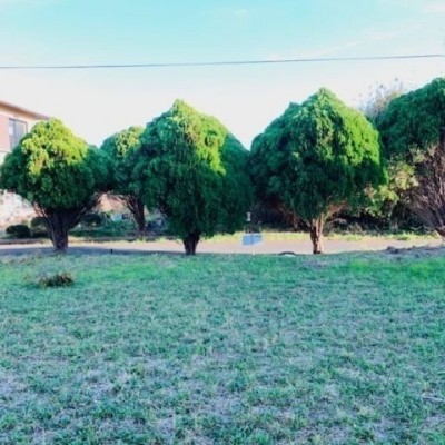 land for sale in Sammu, Chiba | ¥900,000 | Akiyama house finder