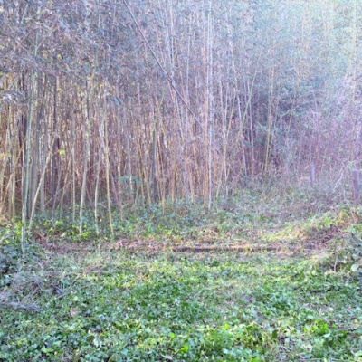 land for sale in Sammu, Chiba | ¥350,000 | Akiyama house finder