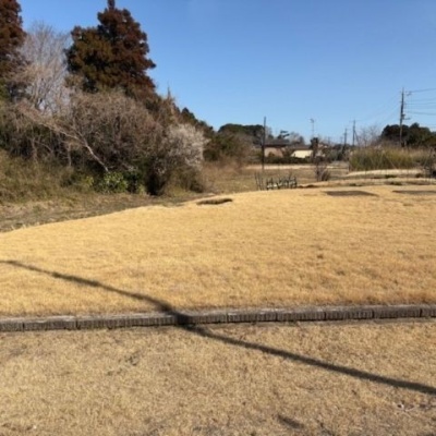 land for sale in Mobara, Chiba | ¥700,000 | Akiyama house finder