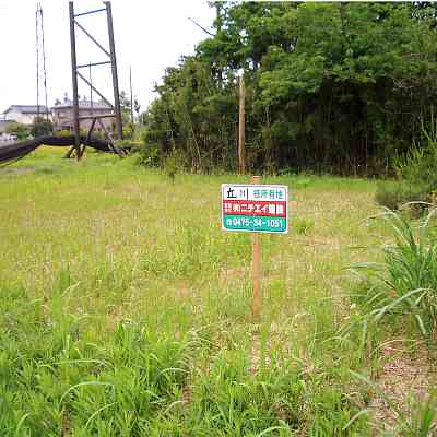 千葉県山武市の土地 | 240万円 | 196m² | Akiyama house finder