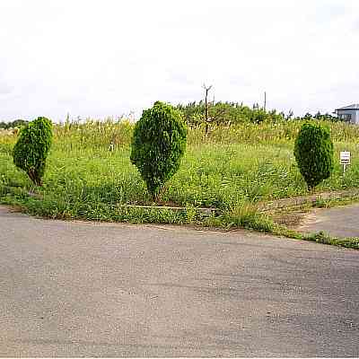 land for sale in 山武郡九十九里町, Chiba | ¥1,000,000 | Akiyama house finder