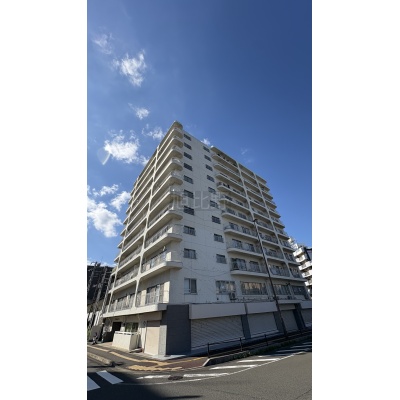 榴ケ岡ハイデンス