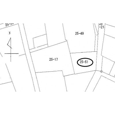 公図