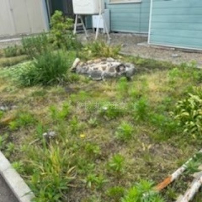 庭 裏にも庭あり