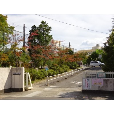桜丘小学校★
