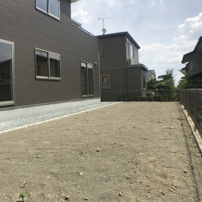庭