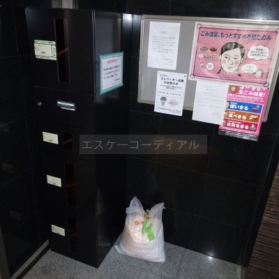 エントランス内、宅配BOX