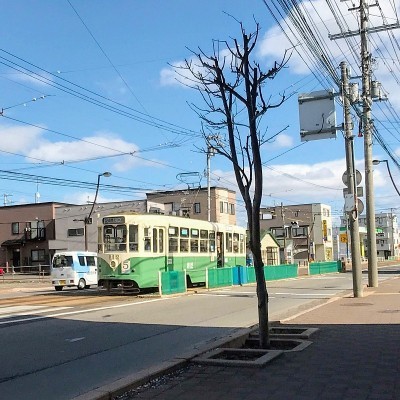 「駒場車庫前」電停すぐそばです。