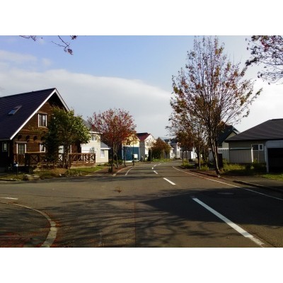 電柱埋設の美観住宅地