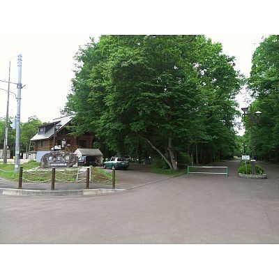 周辺環境(鹿公園)