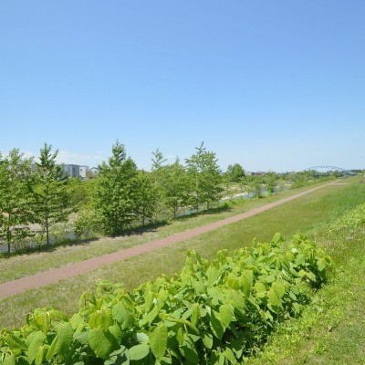 漁川すぐ!