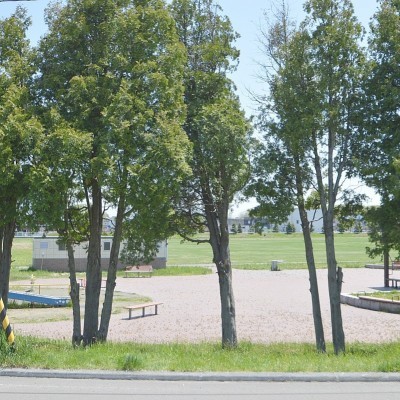 裏に大きな公園♪