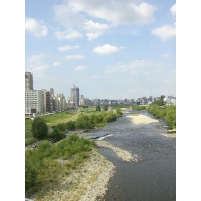豊平川