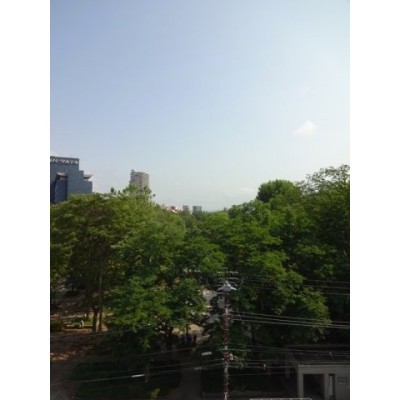 窓からの眺望