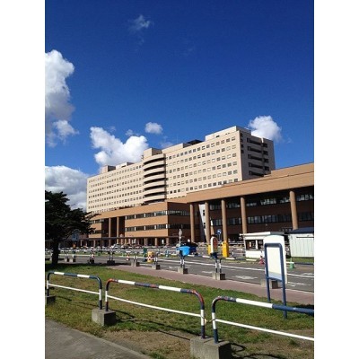北海道大学