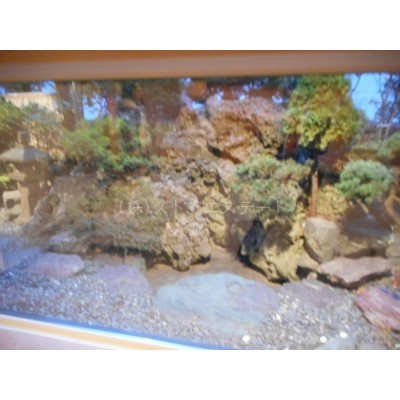 庭が見えます♪