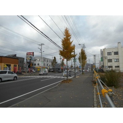 石山通沿い♪