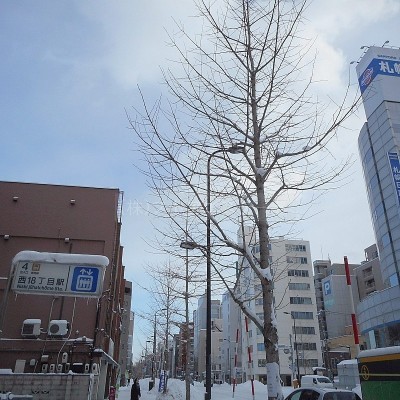 コンビニ至近にあります♪