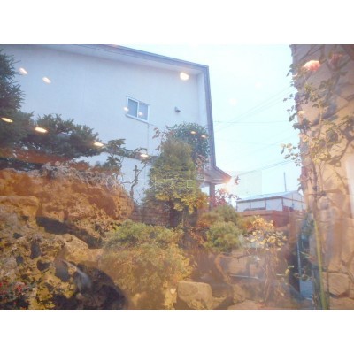 秋は紅葉が楽しめます♪
