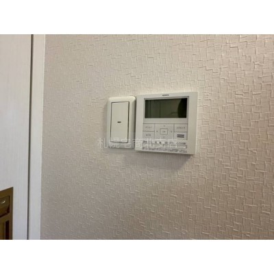 その他内観