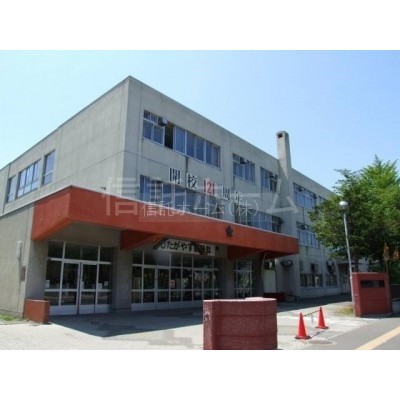 小学校:札幌市立新琴似小学校:1143m