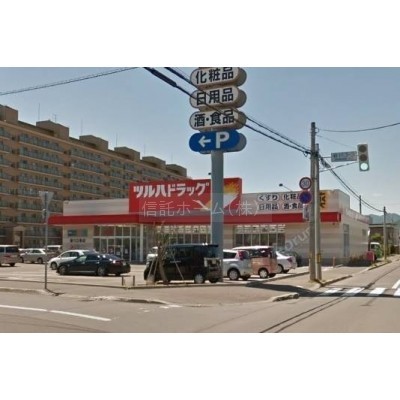 ドラッグストア:ツルハドラッグ新川3条店:1246m