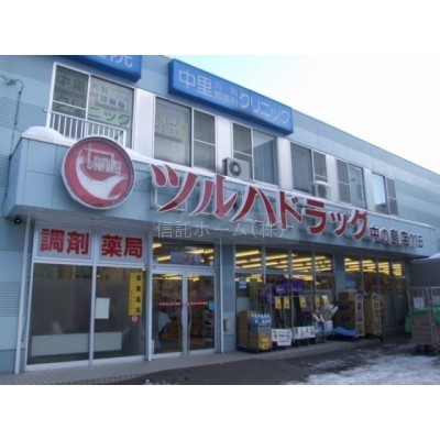 ドラッグストア:調剤薬局ツルハドラッグ中の島店:504m