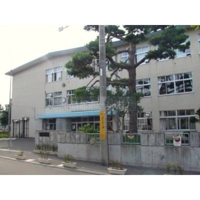 小学校:札幌市立南郷小学校:308m
