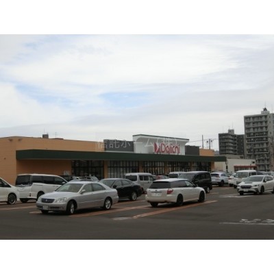スーパー:ダイイチ平岸店:317m