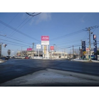 スーパー:イオン札幌西岡店:1005m