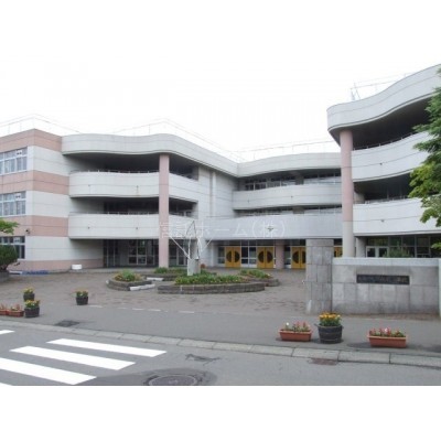 小学校:札幌市立平岡南小学校:787m
