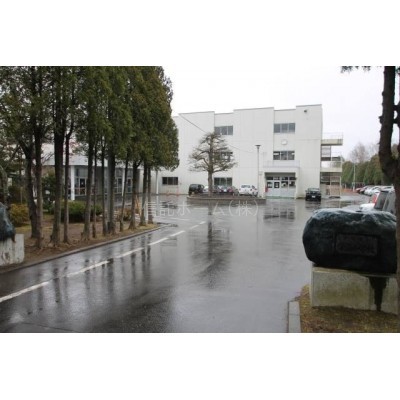 小学校:千歳市立信濃小学校:298m