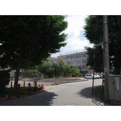 小学校:札幌市立幌南小学校:571m