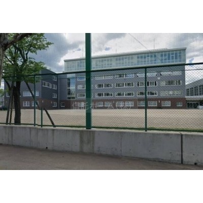 小学校:札幌市立桑園小学校:1196m